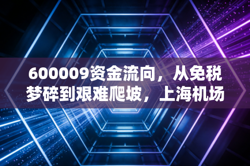 600009资金流向，从免税梦碎到艰难爬坡，上海机场还能重回白马巅峰吗？