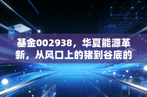 基金002938，华夏能源革新，从风口上的猪到谷底的守望，我们该如何面对？