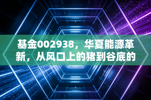 基金002938，华夏能源革新，从风口上的猪到谷底的守望，我们该如何面对？