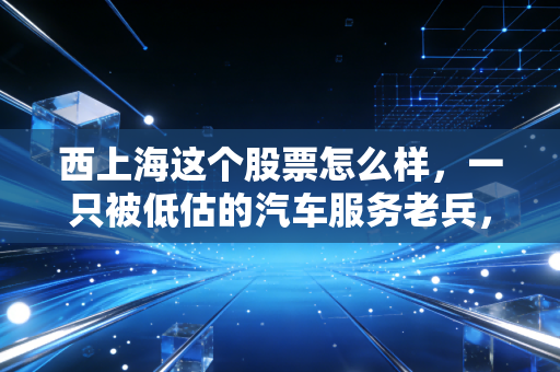 西上海这个股票怎么样，一只被低估的汽车服务老兵，还是被时代抛弃的旧时代遗珠？