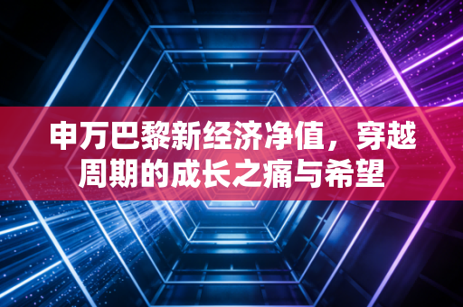 申万巴黎新经济净值，穿越周期的成长之痛与希望