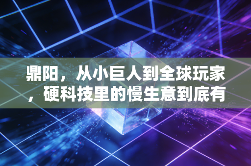 鼎阳，从小巨人到全球玩家，硬科技里的慢生意到底有多香？