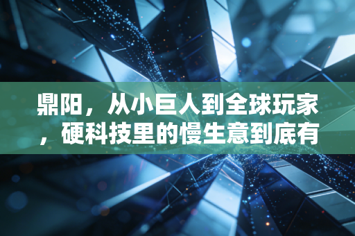 鼎阳，从小巨人到全球玩家，硬科技里的慢生意到底有多香？