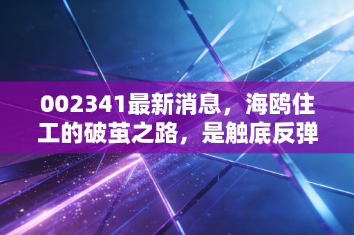 002341最新消息，海鸥住工的破茧之路，是触底反弹还是昙花一现？