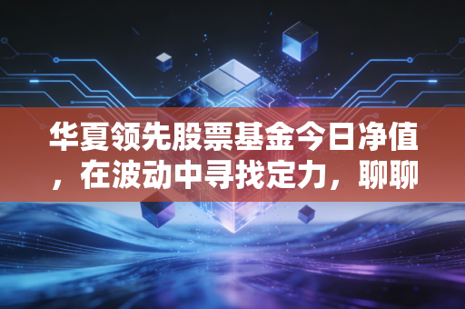 华夏领先股票基金今日净值，在波动中寻找定力，聊聊我们与基民生活的爱恨情仇