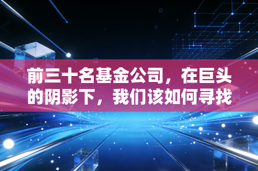 前三十名基金公司，在巨头的阴影下，我们该如何寻找投资的确定性？