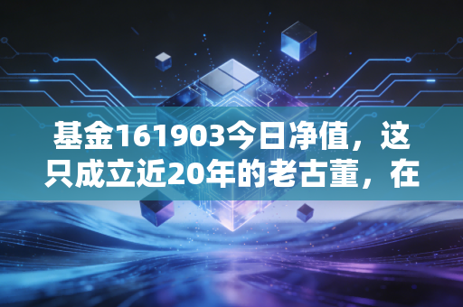 基金161903今日净值，这只成立近20年的老古董，在震荡市中还能不能打？