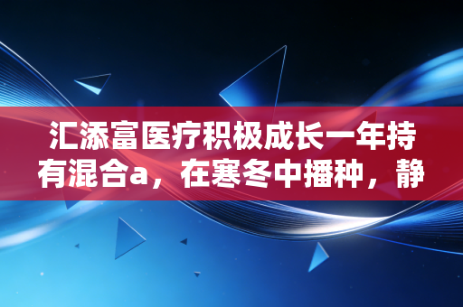 汇添富医疗积极成长一年持有混合a，在寒冬中播种，静待医药行业的春天归来