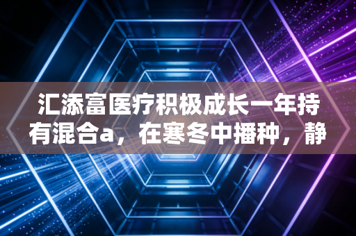 汇添富医疗积极成长一年持有混合a，在寒冬中播种，静待医药行业的春天归来
