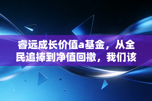 睿远成长价值a基金，从全民追捧到净值回撤，我们该如何面对傅鹏博的长跑？
