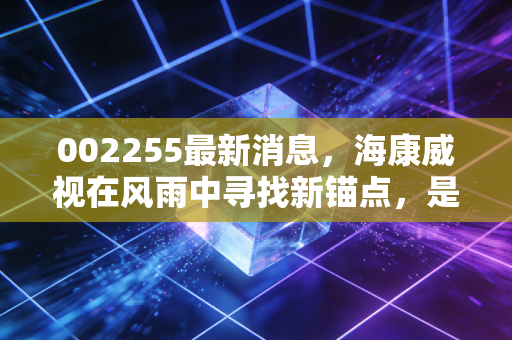 002255最新消息，海康威视在风雨中寻找新锚点，是时候捡带血筹码了吗？