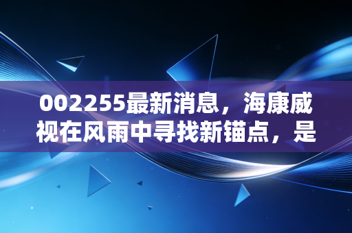 002255最新消息，海康威视在风雨中寻找新锚点，是时候捡带血筹码了吗？