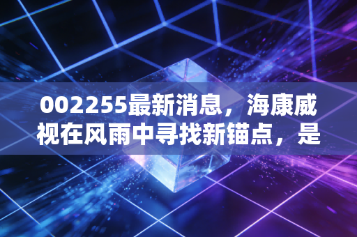 002255最新消息，海康威视在风雨中寻找新锚点，是时候捡带血筹码了吗？
