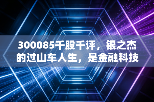 300085千股千评，银之杰的过山车人生，是金融科技的明日之星还是击鼓传花的游戏？