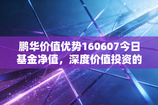 鹏华价值优势160607今日基金净值,深度价值投资的定海神针还是过气老将?聊聊我的真实看法