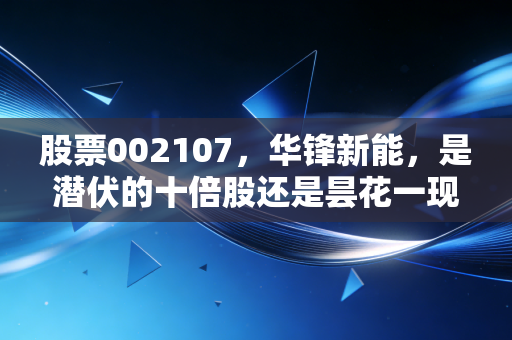 股票002107,华锋新能,是潜伏的十倍股还是昙花一现的泡沫?深度剖析这只过山车背后的投资逻辑