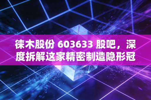 徕木股份 603633 股吧，深度拆解这家精密制造隐形冠军，是金子还是沙砾？