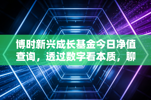 博时新兴成长基金今日净值查询,透过数字看本质,聊聊成长股投资的痛与快乐