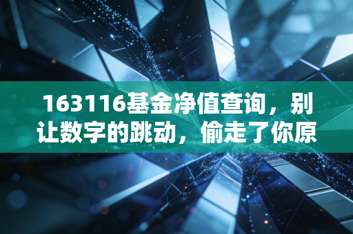 163116基金净值查询,别让数字的跳动,偷走了你原本平静的生活