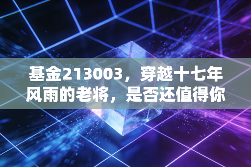 基金213003,穿越十七年风雨的老将,是否还值得你托付?