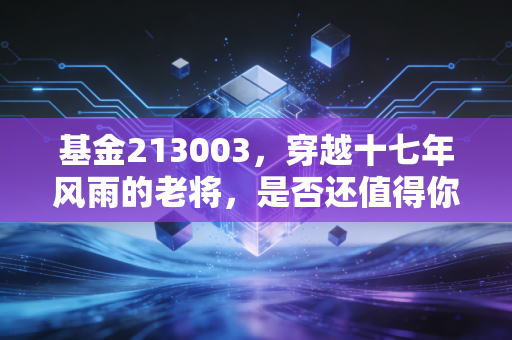 基金213003,穿越十七年风雨的老将,是否还值得你托付?
