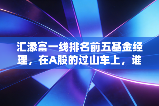 汇添富一线排名前五基金经理,在A股的过山车上,谁才是你值得托付的副驾驶?