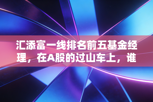 汇添富一线排名前五基金经理,在A股的过山车上,谁才是你值得托付的副驾驶?