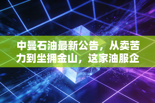 中曼石油最新公告,从卖苦力到坐拥金山,这家油服企业的逆袭之路与隐忧