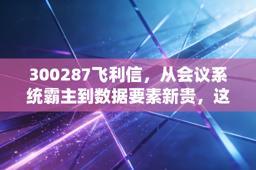 300287飞利信，从会议系统霸主到数据要素新贵，这艘巨轮能否穿越风暴？