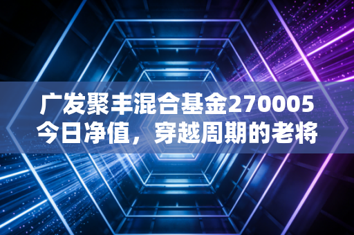 广发聚丰混合基金270005今日净值,穿越周期的老将与我们在波动中的财富修行