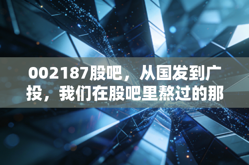 002187股吧，从国发到广投，我们在股吧里熬过的那些日日夜夜