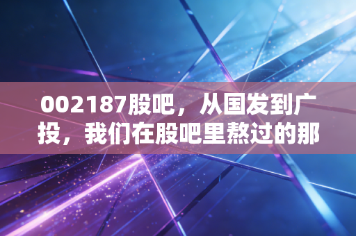 002187股吧，从国发到广投，我们在股吧里熬过的那些日日夜夜