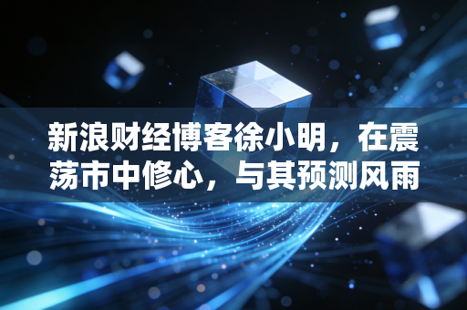 新浪财经博客徐小明，在震荡市中修心，与其预测风雨不如学会撑伞