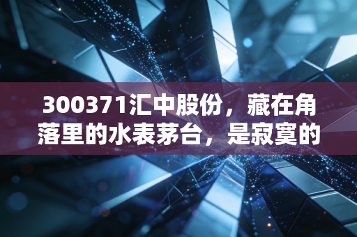 300371汇中股份,藏在角落里的水表茅台,是寂寞的坚守还是未来的爆发?