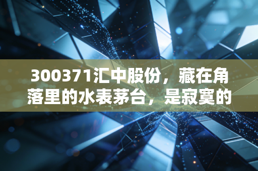 300371汇中股份,藏在角落里的水表茅台,是寂寞的坚守还是未来的爆发?