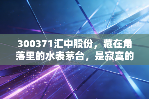300371汇中股份,藏在角落里的水表茅台,是寂寞的坚守还是未来的爆发?