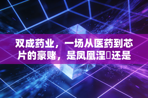 双成药业，一场从医药到芯片的豪赌，是凤凰涅槃还是击鼓传花？