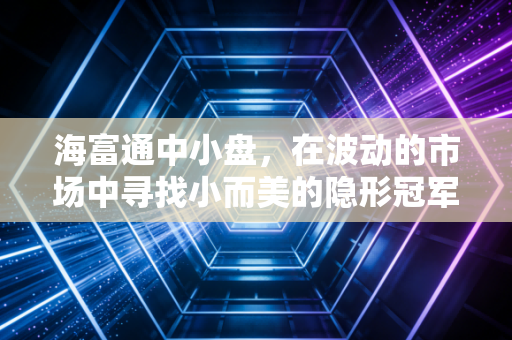海富通中小盘，在波动的市场中寻找小而美的隐形冠军