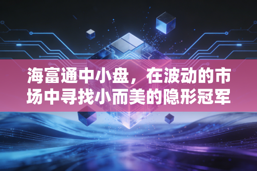 海富通中小盘，在波动的市场中寻找小而美的隐形冠军
