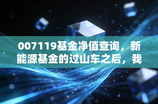007119基金净值查询，新能源基金的过山车之后，我们该何去何从？