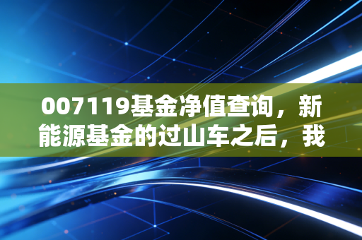007119基金净值查询，新能源基金的过山车之后，我们该何去何从？