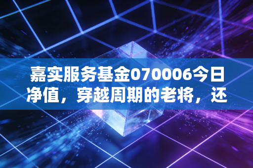 嘉实服务基金070006今日净值,穿越周期的老将,还能带我们去哪里?