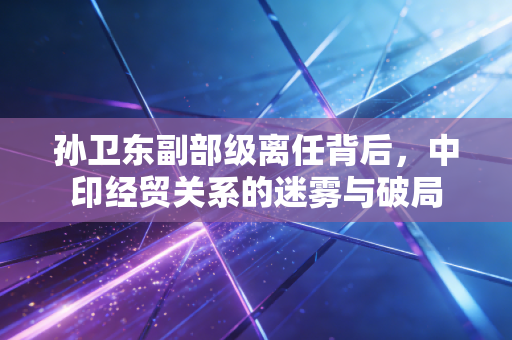 孙卫东副部级离任背后，中印经贸关系的迷雾与破局