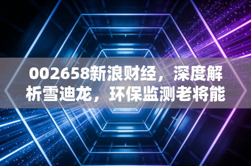 002658新浪财经，深度解析雪迪龙，环保监测老将能否在双碳新局中涅槃重生？