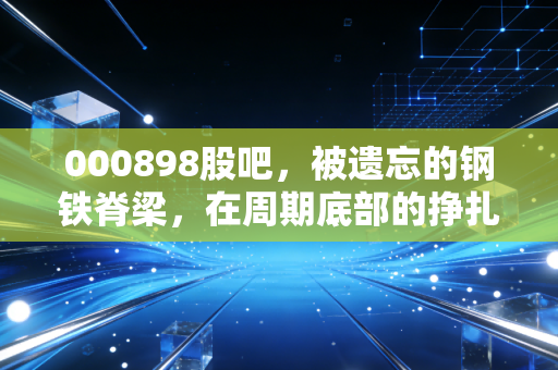 000898股吧，被遗忘的钢铁脊梁，在周期底部的挣扎与希望