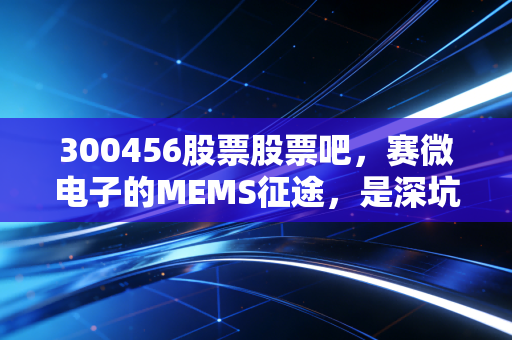 300456股票股票吧,赛微电子的MEMS征途,是深坑还是黄金坑?聊聊我眼中的芯片代工生意经