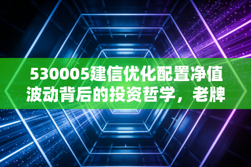 530005建信优化配置净值波动背后的投资哲学,老牌基金还能持有吗?