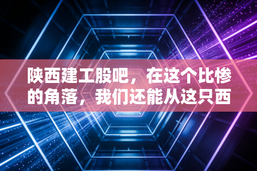 陕西建工股吧,在这个比惨的角落,我们还能从这只西部基建巨头身上看到什么?