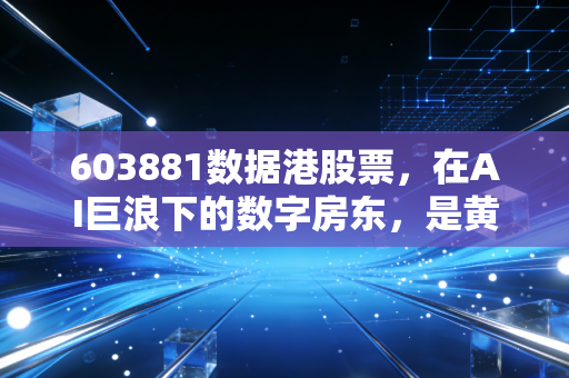 603881数据港股票,在AI巨浪下的数字房东,是黄金坑还是价值洼地?