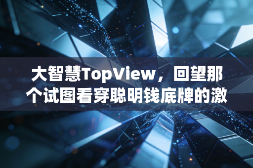 大智慧TopView,回望那个试图看穿聪明钱底牌的激荡年代